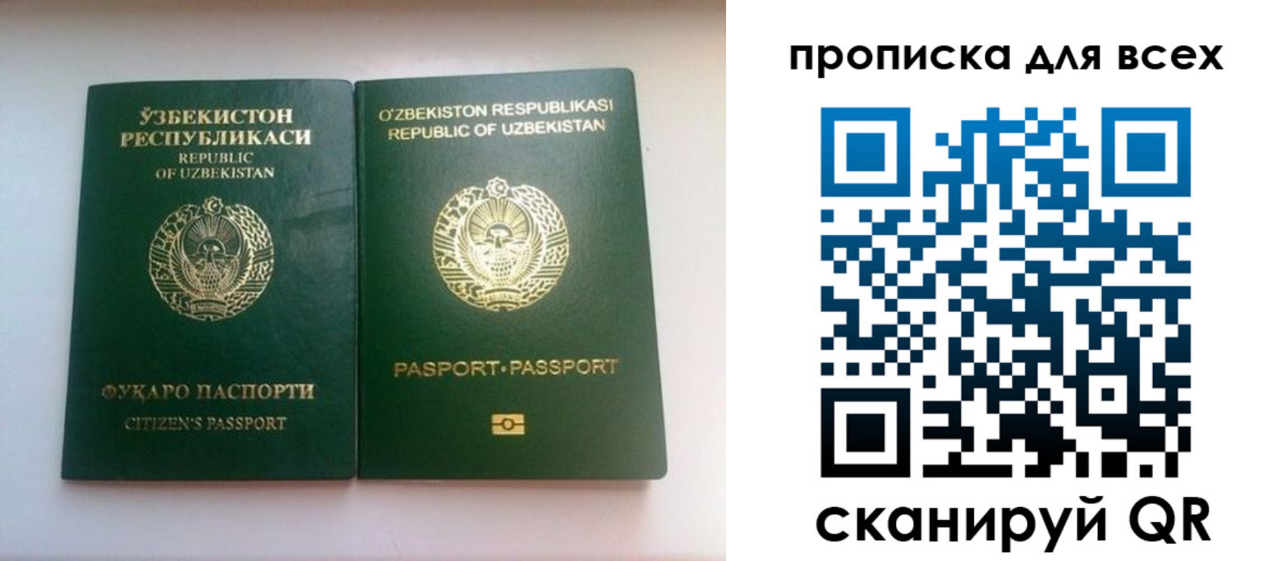 прописка для школы в Ленинградской области